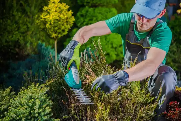 landscaping services Churchill